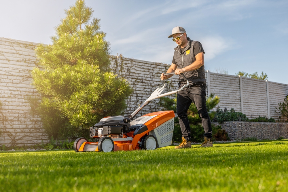 Lawn Care and Maintenance